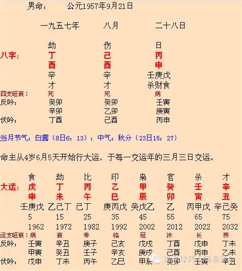 南半球八字|南半球八字